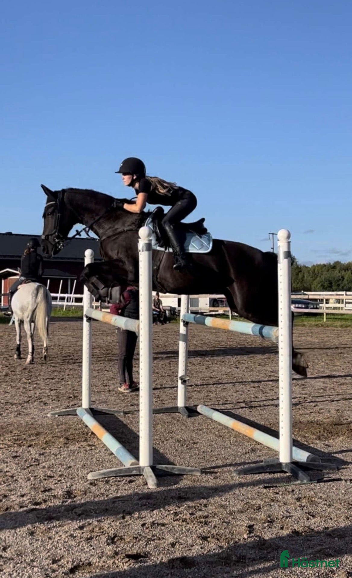  hästar Svart pärla söker nytt hem 🖤 - Annons 1