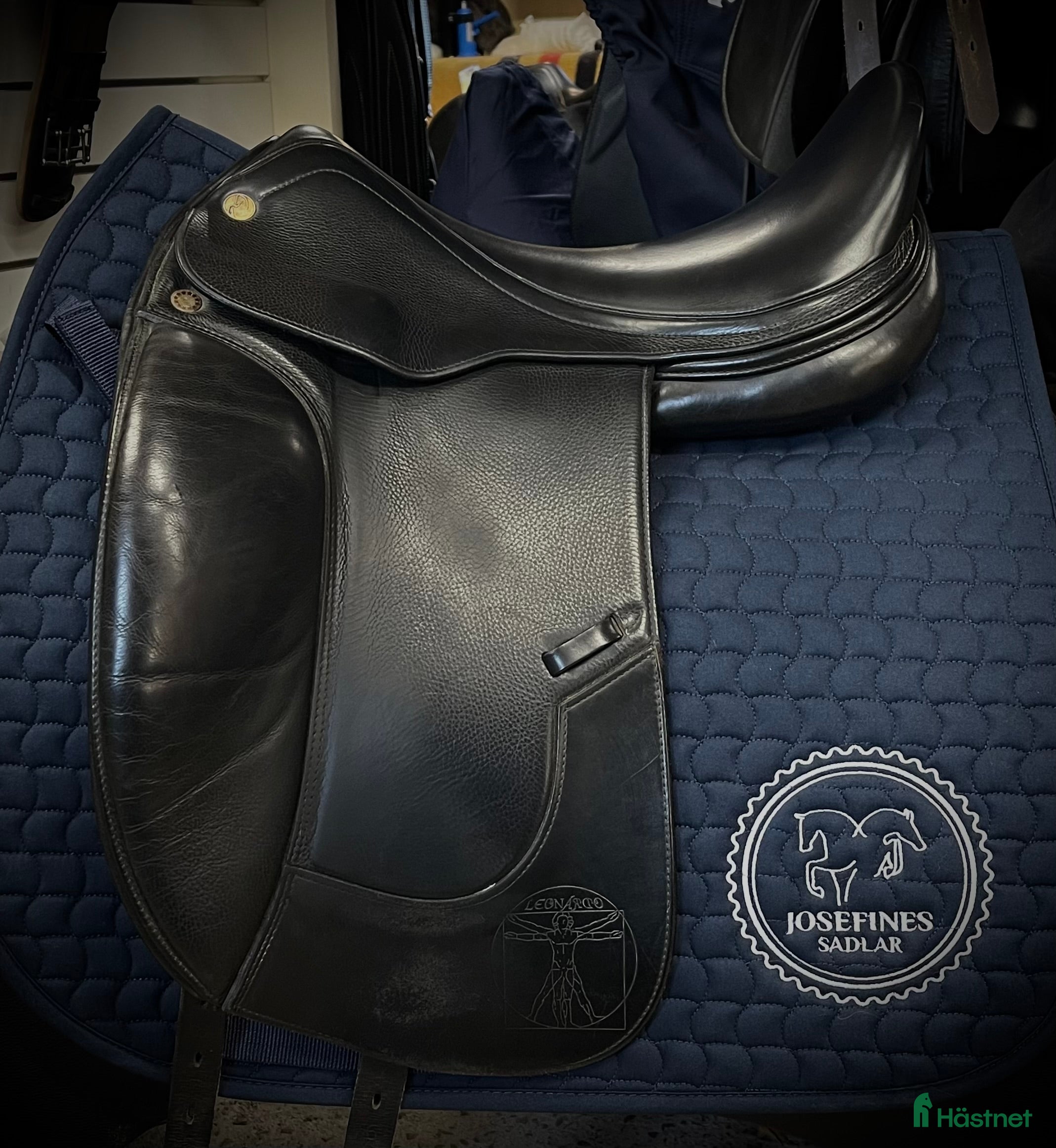 Sadlar hästutrustning Prestige Leonardo - Annons 10