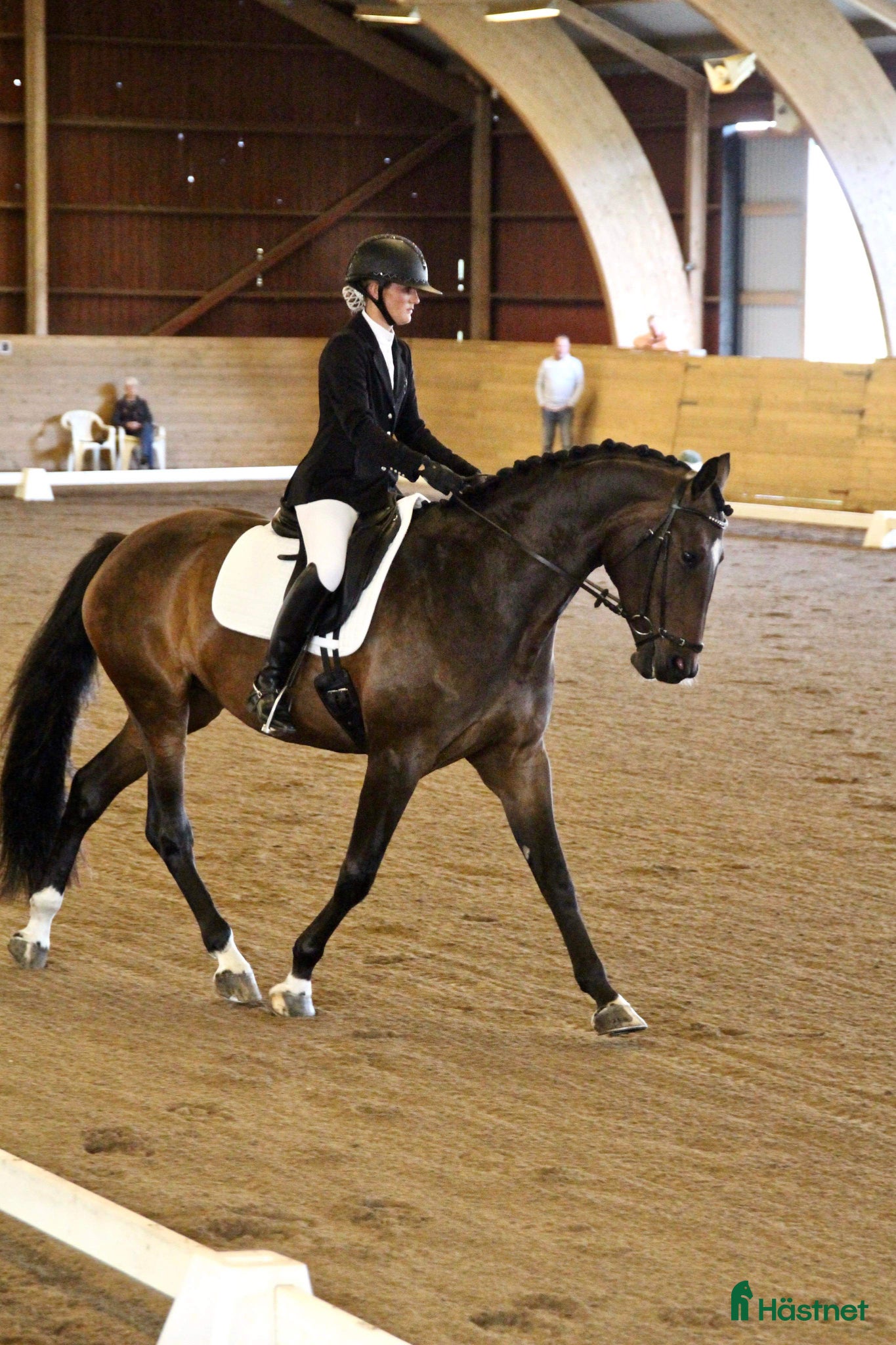  hästar Lovande dressyrsto - Annons 11