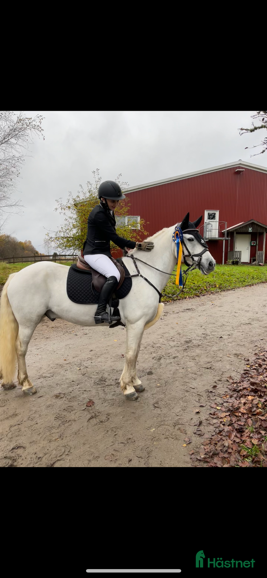  stallplats finnes: Behöver du hjälp med att sälja din häst?  i Uddevalla - Annons 2