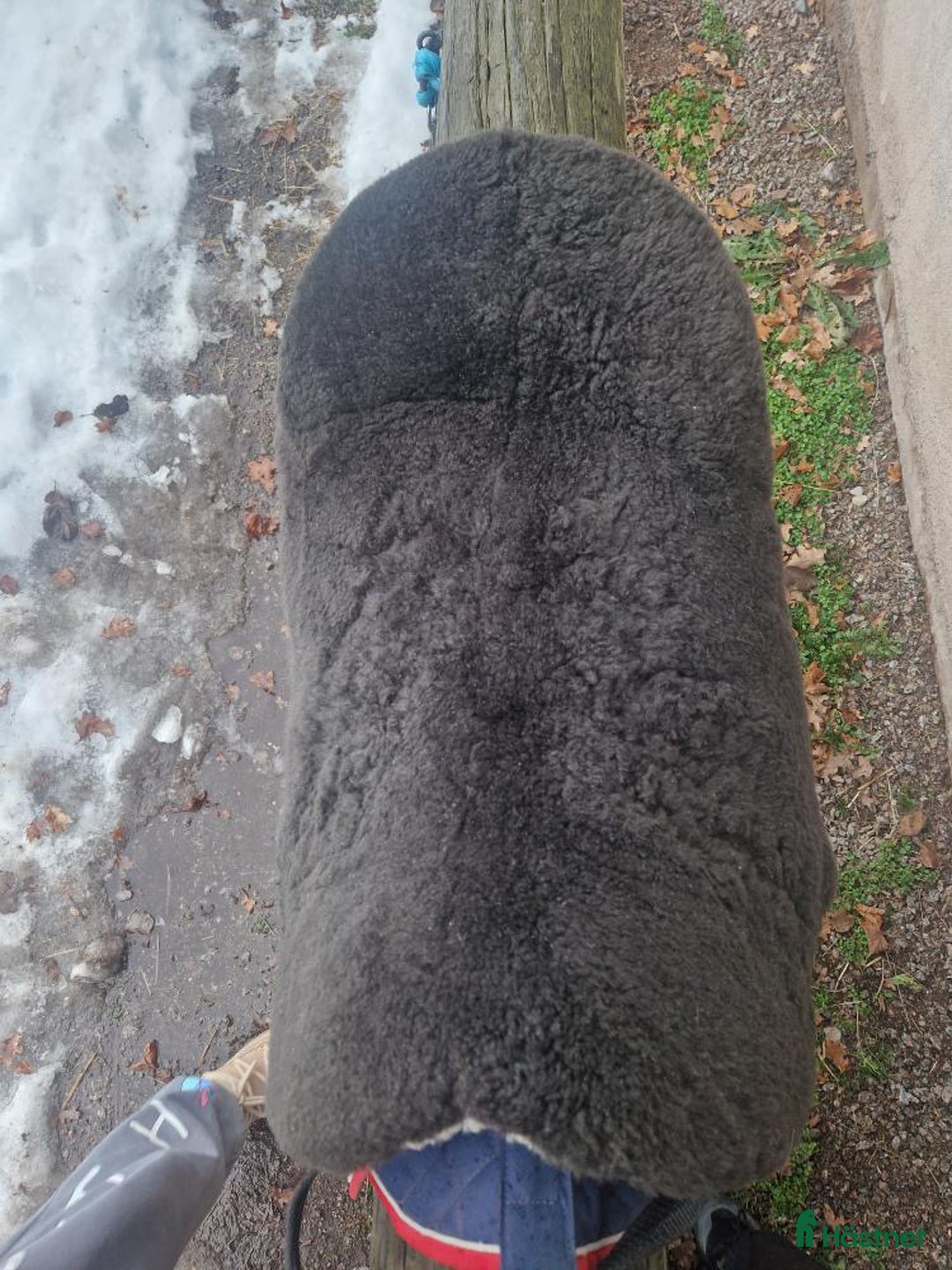 Sadlar hästutrustning till salu: Christ Basic Plus barbackasadel, fårskinn  i Kalmar - Annons 8