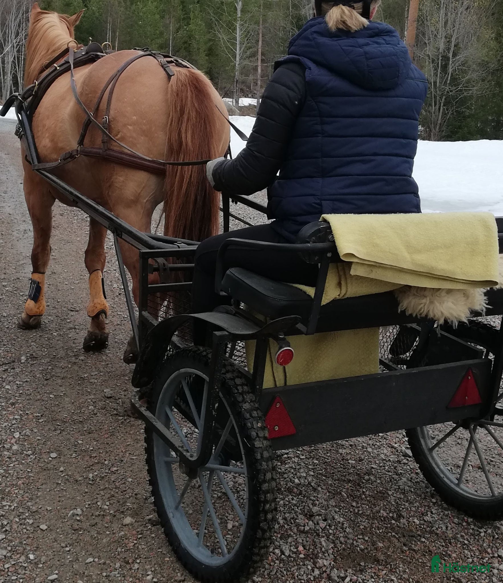 Travvagnar trav till salu: Rockard och sele till stor häst säkes - Annons 1