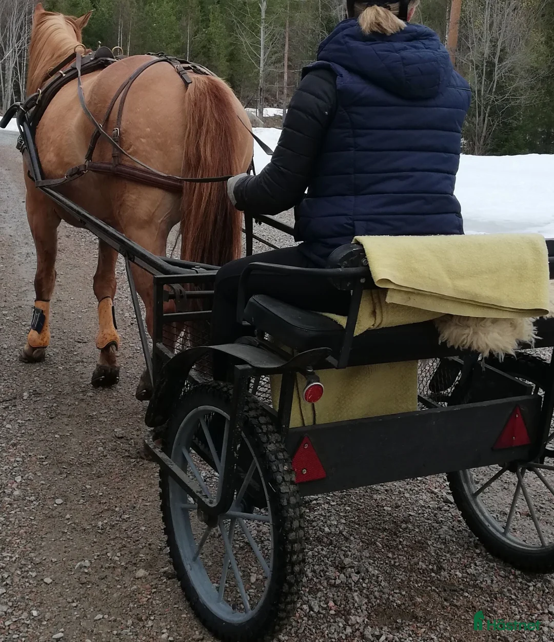 Travvagnar trav till salu: Rockard och sele till stor häst säkes i Brunflo - Annons 1
