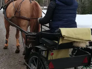 Travvagnar trav till salu: Rockard och sele till stor häst säkes - Annons 1