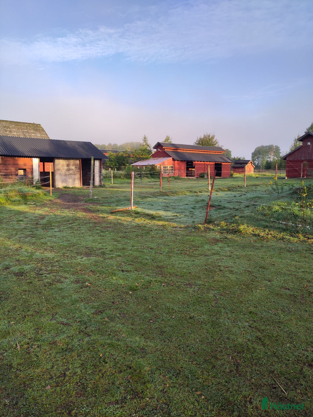  stallplats finnes: Två lediga stallplatser i kollektivstall, Karlstad i Karlstad - Annons 2