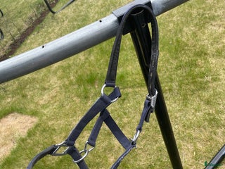 Övrig Hästutrustning hästutrustning till salu: Fin oanvänd grimma från Agria‼️ i Halmstad - Annons 24