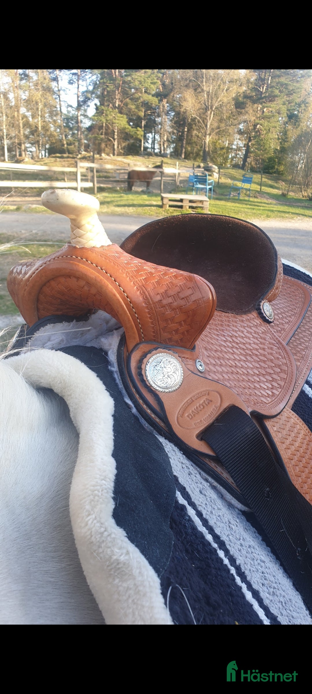 Sadlar hästutrustning till salu: Dakota westernsadel ponny/junior  i Brottby - Annons 3