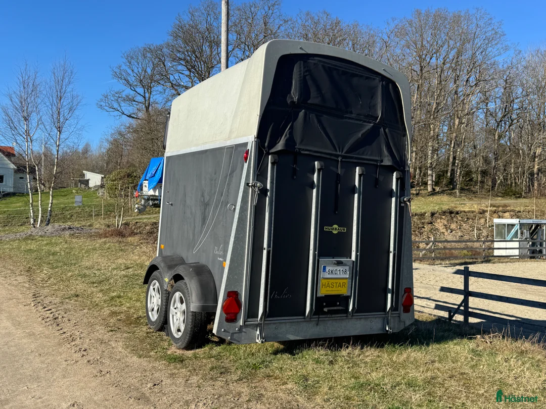 Hästtransporter  fordon & transport till salu: Humbaur Balios - Annons 3