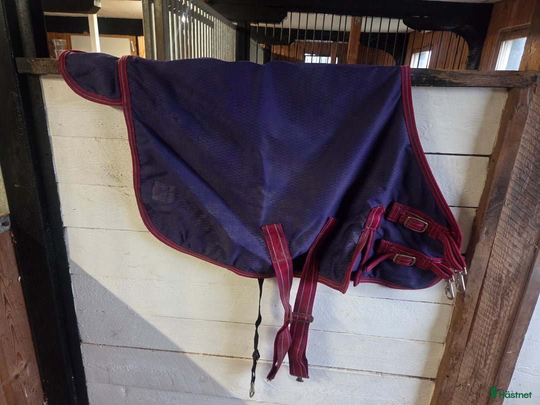 Täcken hästutrustning till salu: Regntäcke mini shettis eller föl i Rånäs - Annons 2
