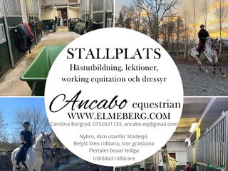 stallplats finnes: Stallplats Nybro i Nybro - Annons 2