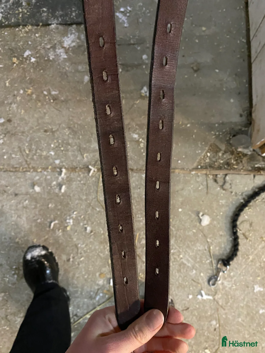 Sadlar hästutrustning till salu: Globus Gloi - Annons 10