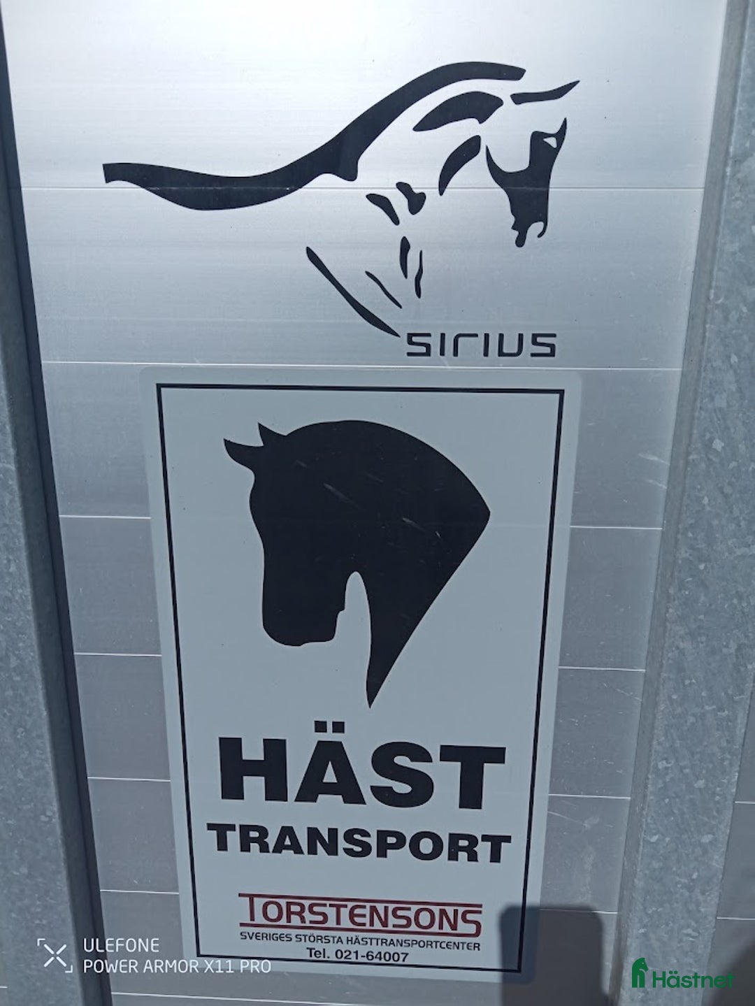 Hästtransporter  fordon & transport till salu: Sirius S75 År 2021 i Sala - Annons 5