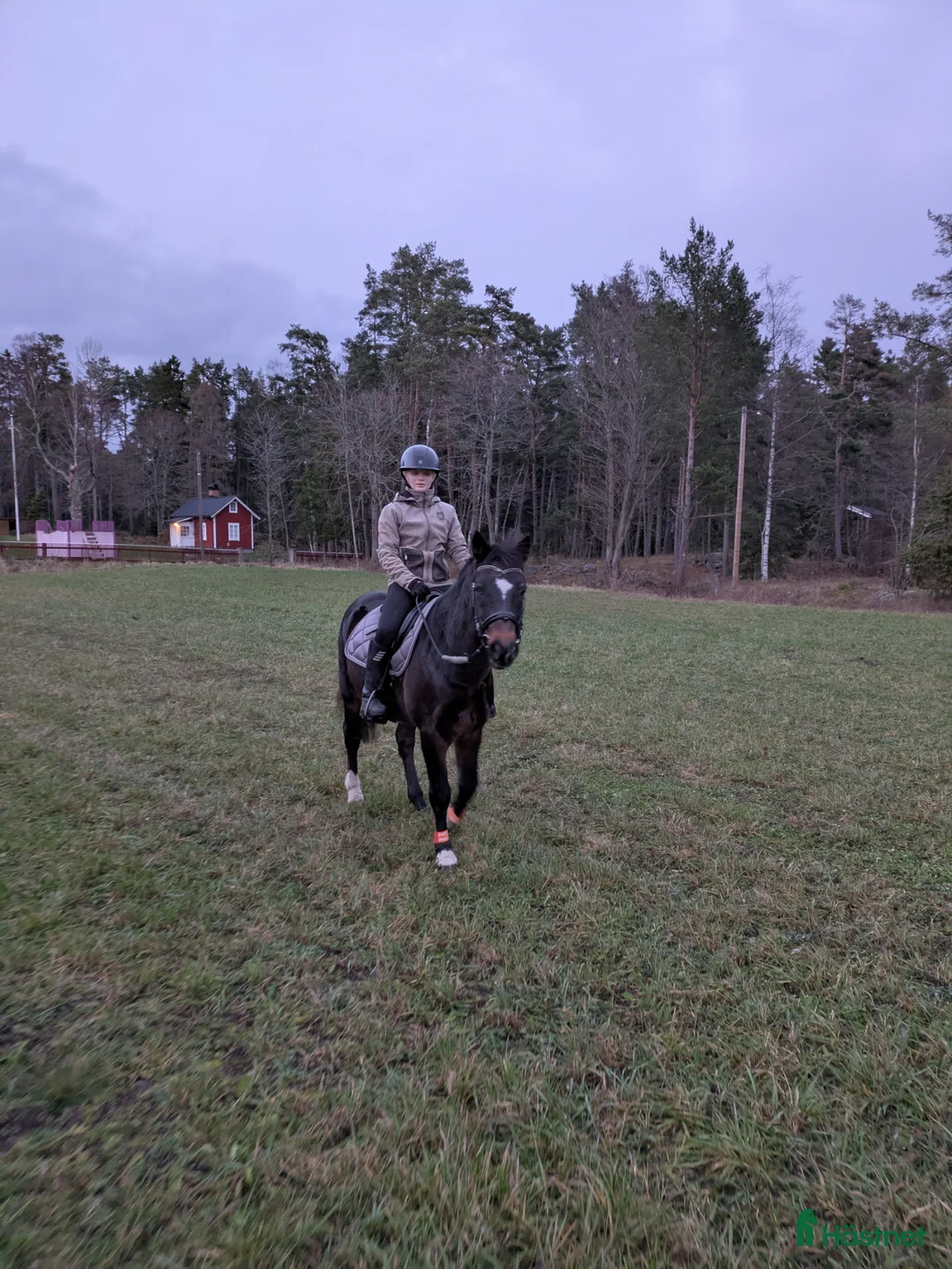 Galleribild {{count}}