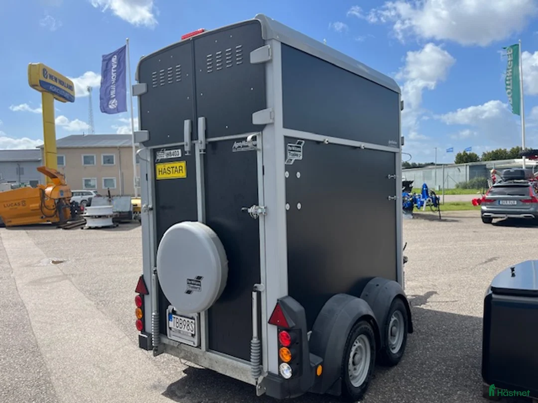 Hästtransporter  fordon & transport till salu: Ifor Williams HB403 Enhästars transport i Svedala - Annons 9
