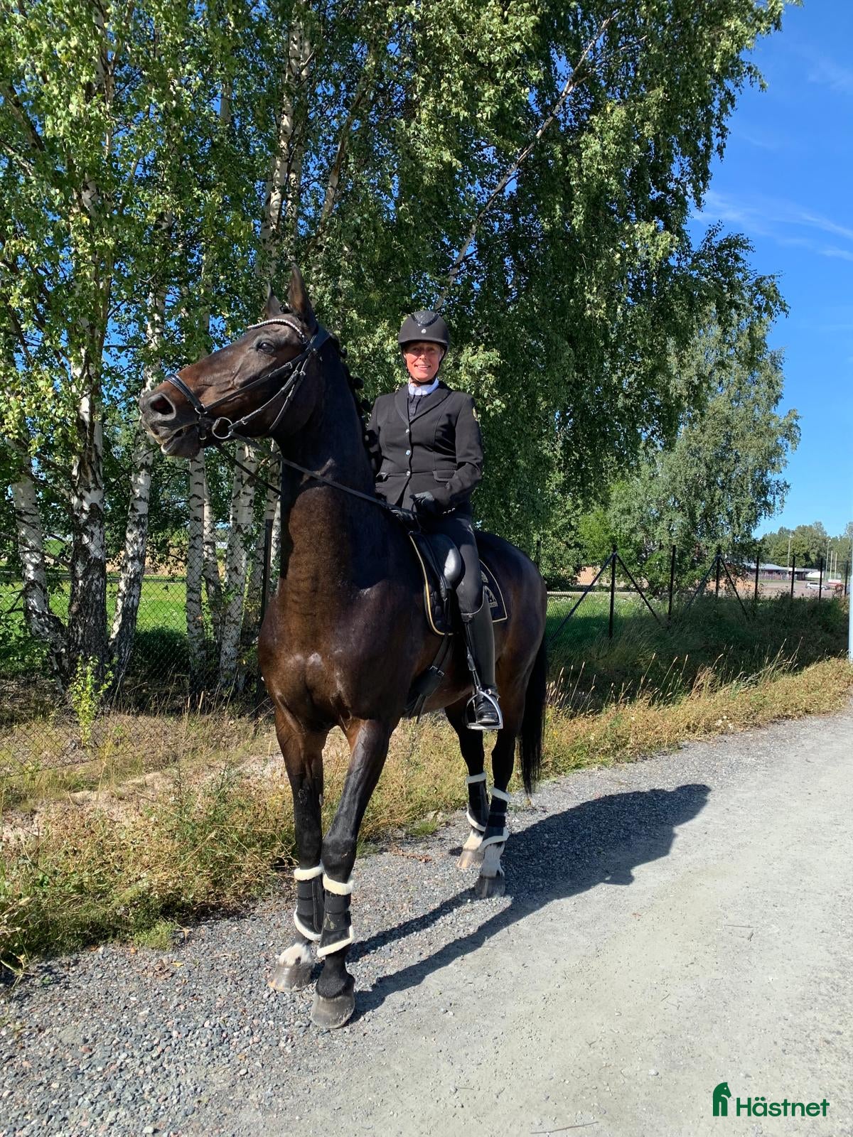  hästar Multitalang Dressyr, WE & hoppning -med toppstam i Storvreta - Annons 12