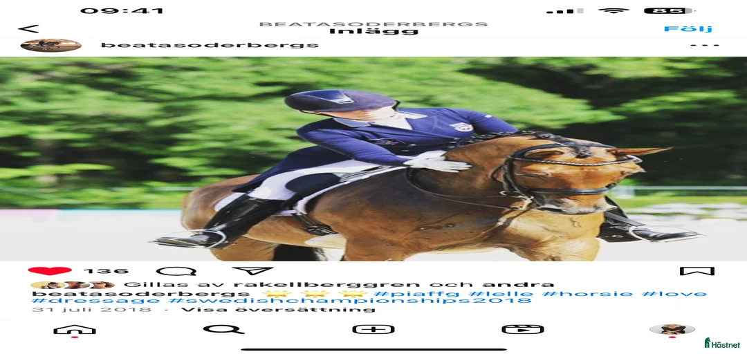 Galleribild {{count}}