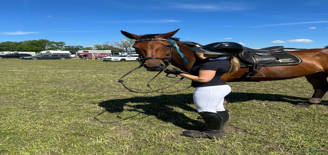 Galleribild {{count}}