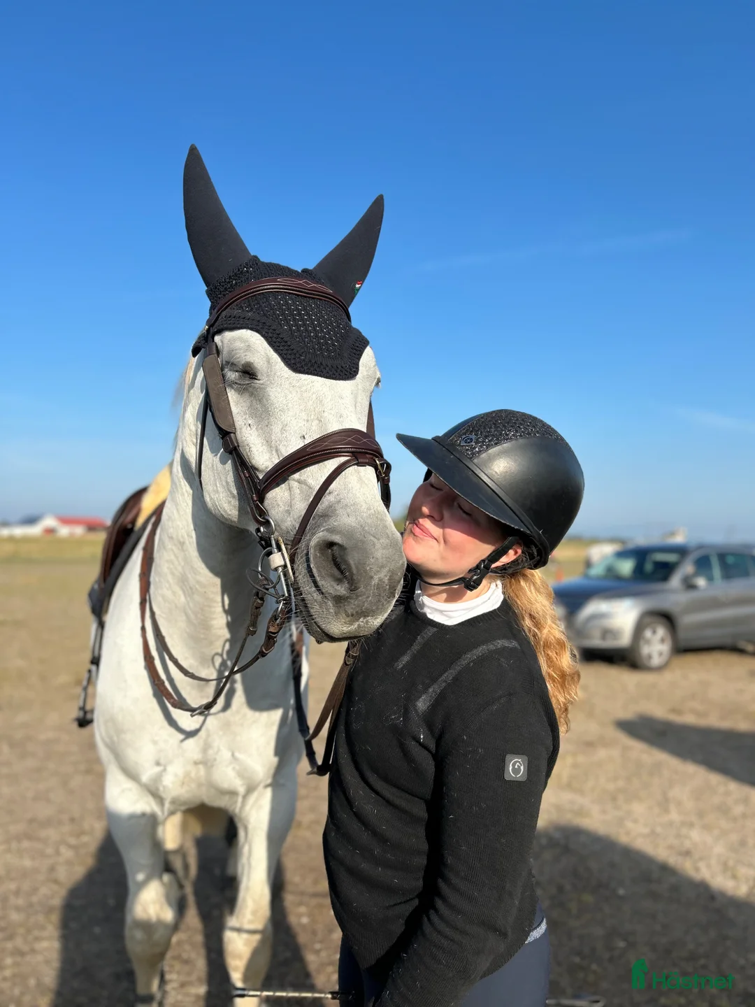 Hoppning hästar sökes: Bäatavän/blivande stjärna för hoppning  - Annons 1