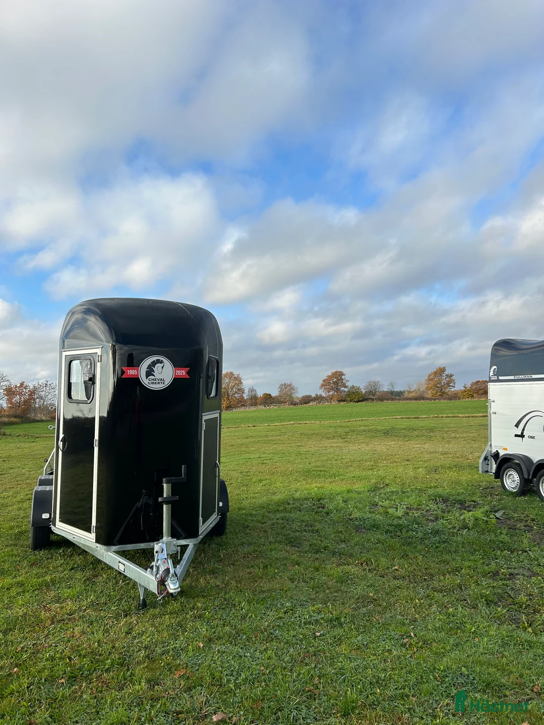 Hästtransporter  fordon & transport till salu: Cheval Gold Origins i Kalmar - Annons 2