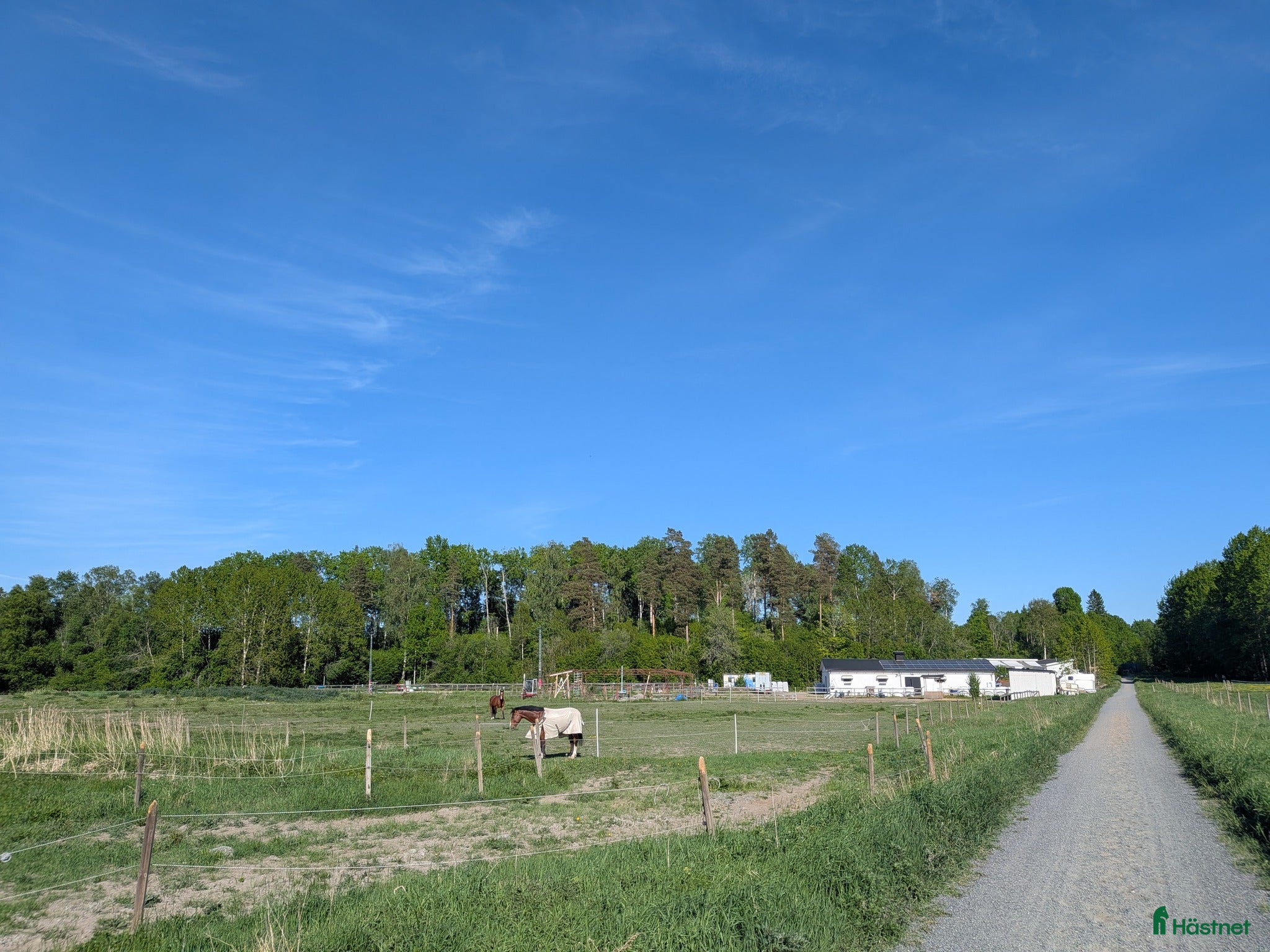  stallplats finnes: 2 lediga boxplatser i lugnt stall med ridbana i Rimbo - Annons 2