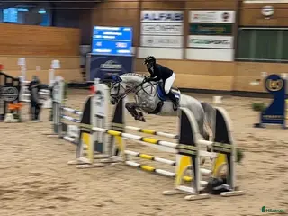 hästar Kapacitet för 140 – Myntas barnbarn. - Annons 6