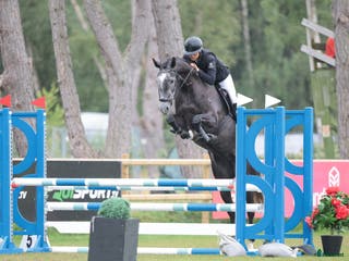 hästservice Inridning, utbildning, tävling och försäljning🌟 i Eslöv - Annons 1