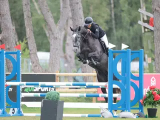 hästservice finnes: Inridning, utbildning, tävling och försäljning🌟 i Eslöv - Annons 1