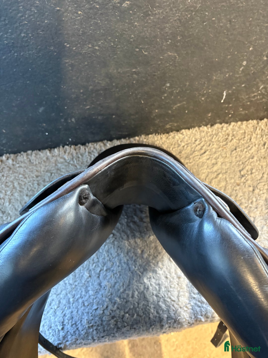 Sadlar hästutrustning till salu: Prestige Rembrandt  i Brösarp - Annons 3