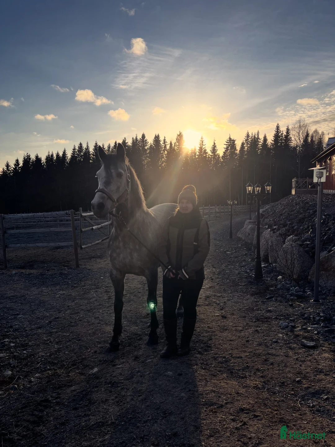  foderhäst sökes: Har du min nästa bästa kompis?  i Karlskoga - Annons 1