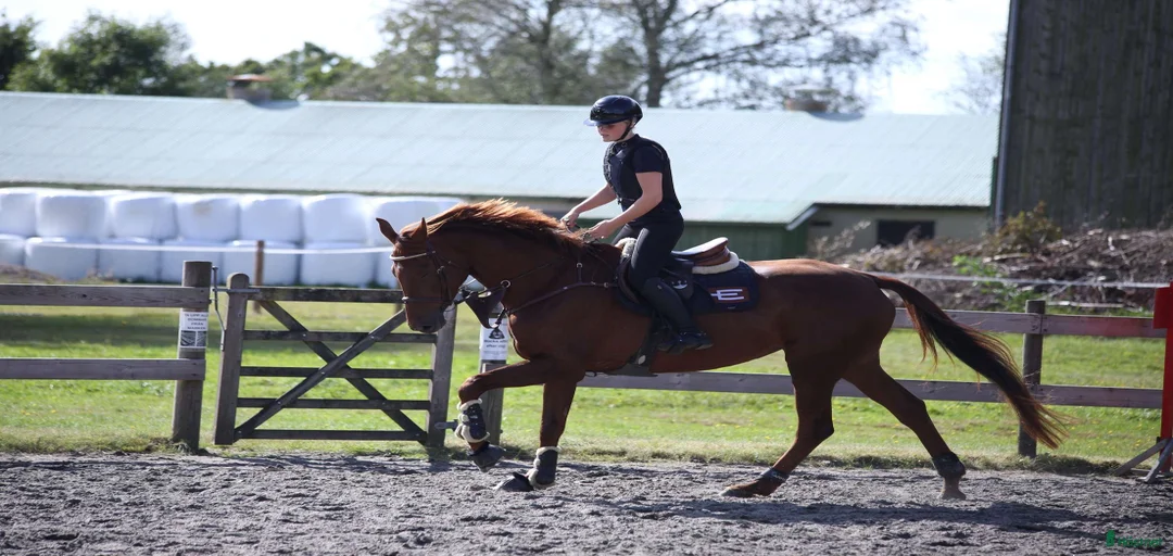 Galleribild {{count}}