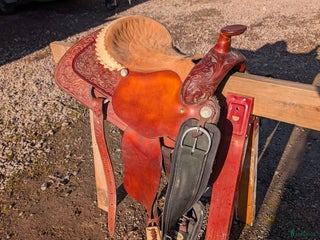 Sadlar hästutrustning till salu: Billy Cook i Nykil - Annons 4