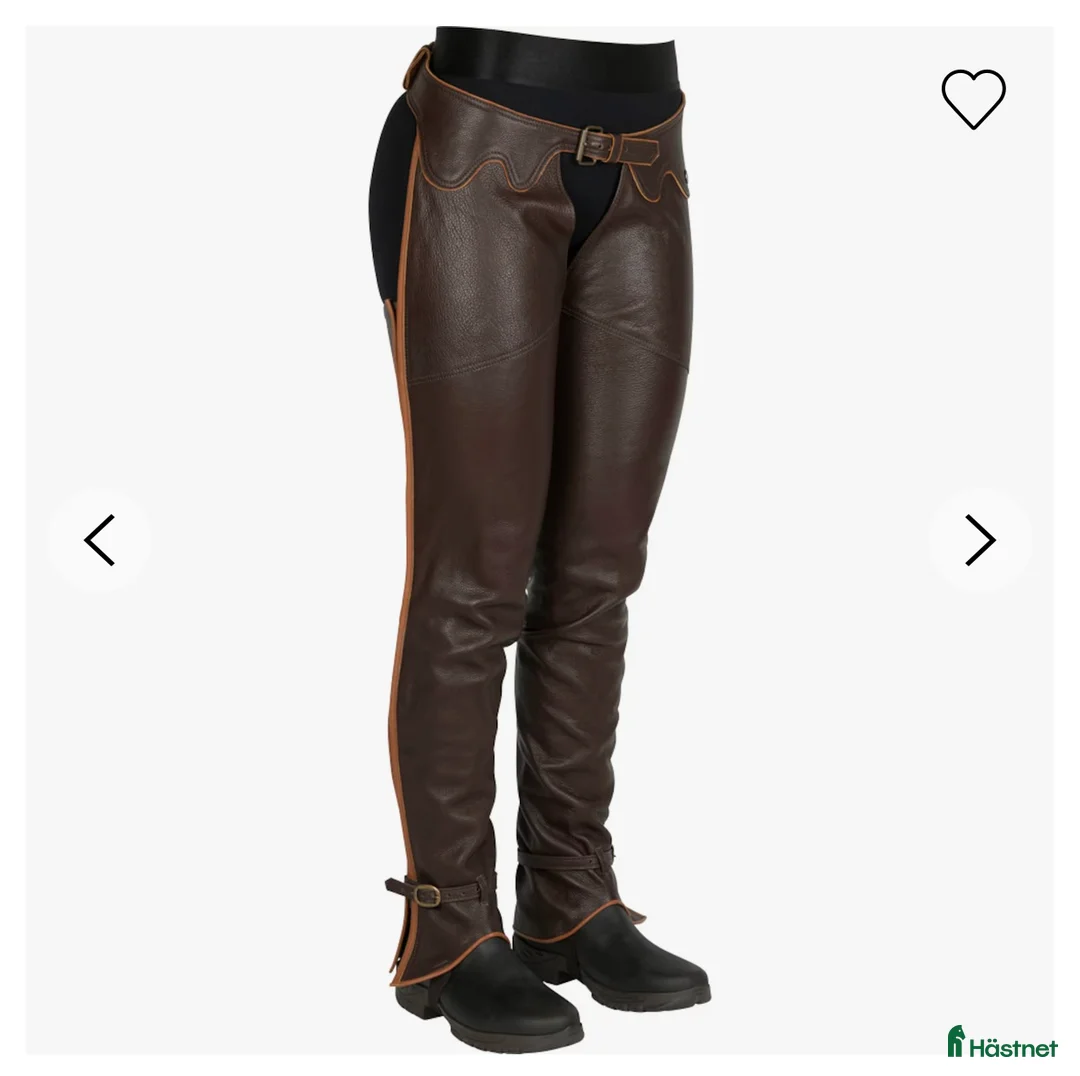 Ridbyxor ryttarutrustning till salu: Chaps från Hööks - Annons 1