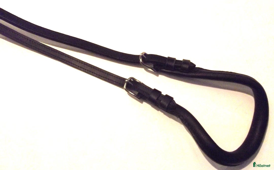 Övrig Hästutrustning hästutrustning till salu: TÖMKÖRNINGSGJORD GLOBUS BLACK DELUXE i Kalmar - Annons 4