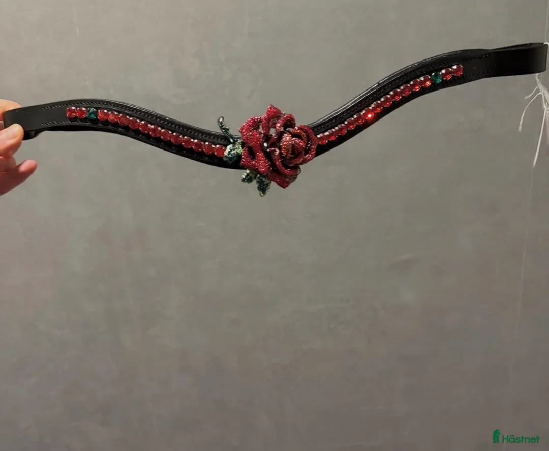 Övrig Hästutrustning hästutrustning till salu: Ros pannband full  - Annons 1