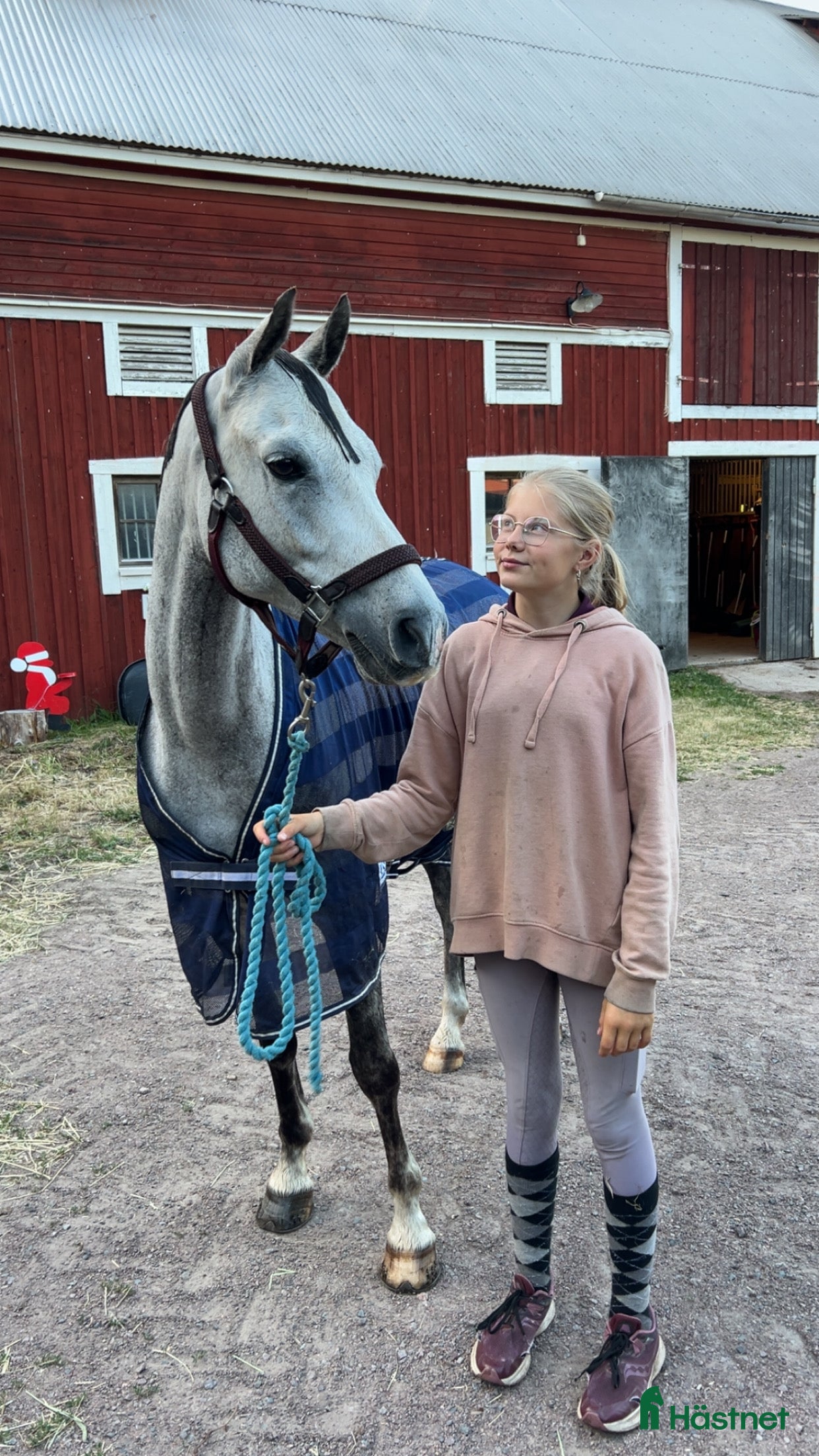  hästar Fantastisk ponny på alla sätt! i Kalmar - Annons 18