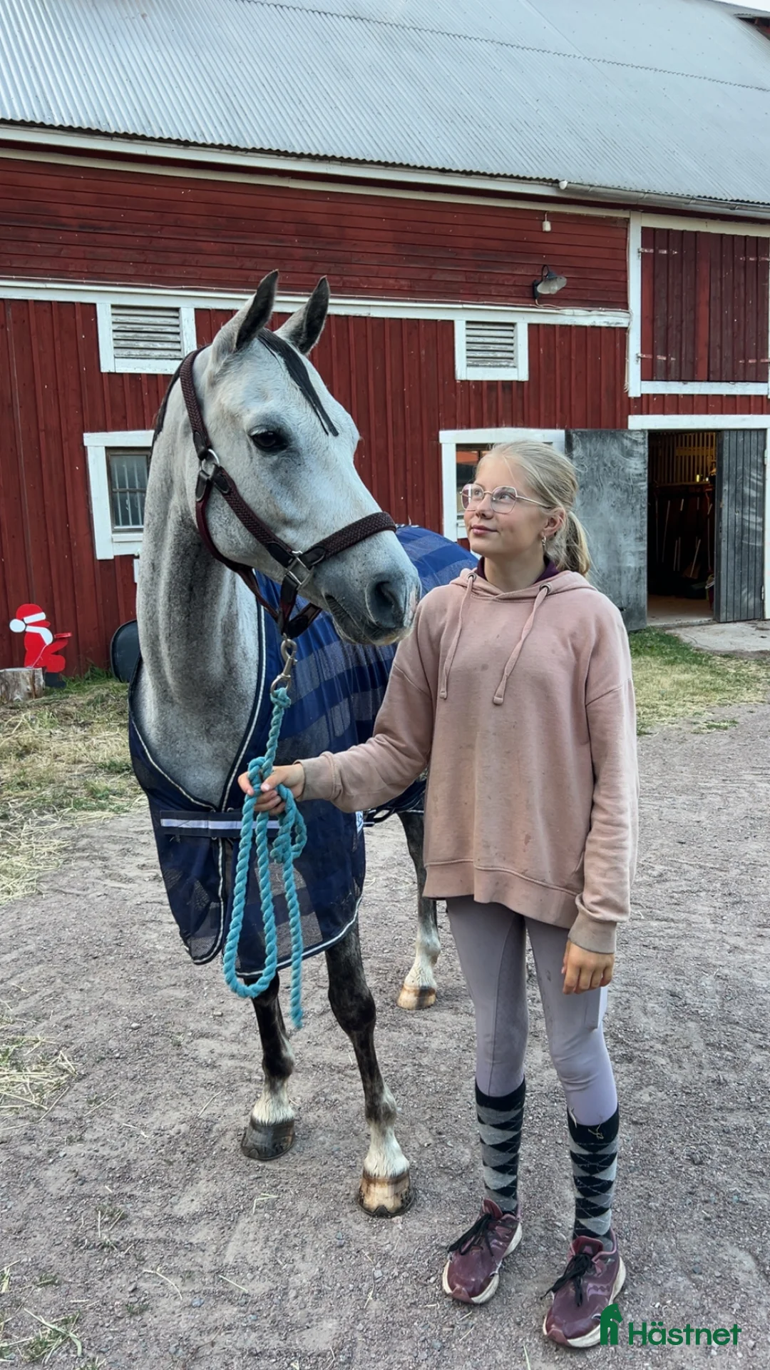 Hoppning hästar till salu: Fantastisk ponny på alla sätt! i Kalmar - Annons 1