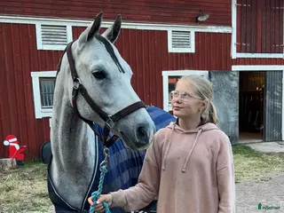 hästar Fantastisk ponny på alla sätt! i Kalmar - Annons 3