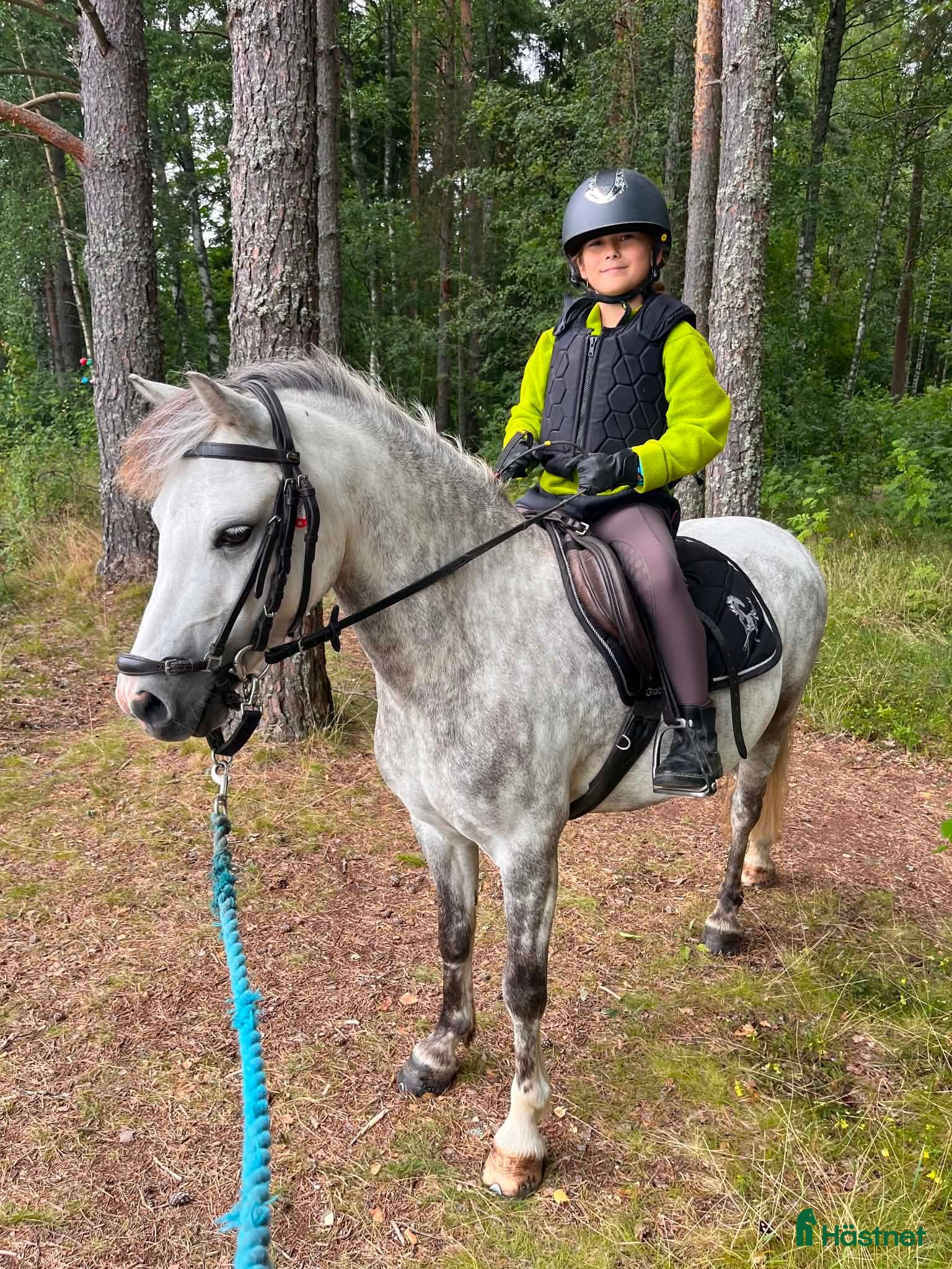  hästar Barnponny för skogsridning - Annons 2