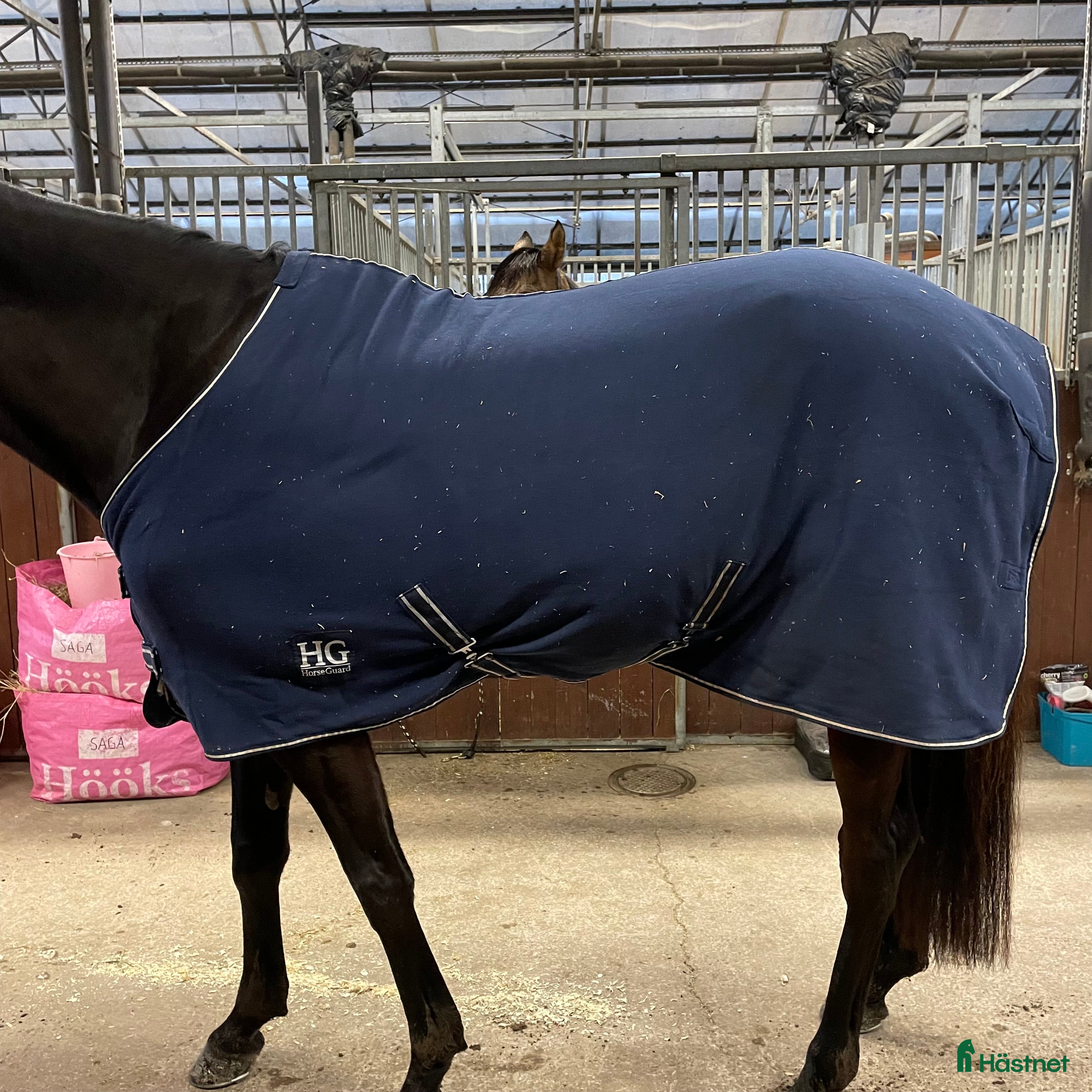 Täcken hästutrustning Fleecetäcke i Gamleby - Annons 1