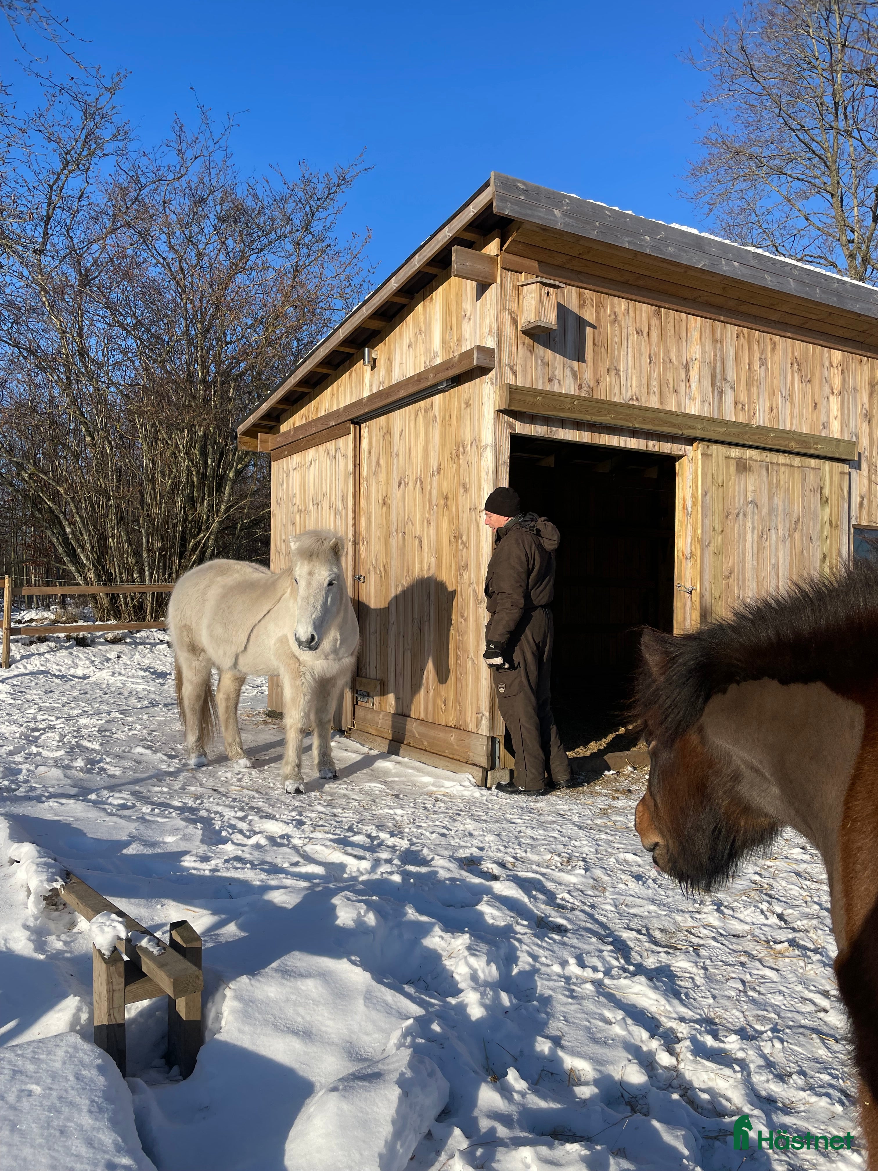  stallplats Lösdrift i Skurup - Annons 2