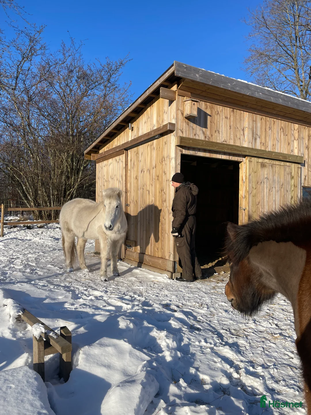  stallplats finnes: Lösdrift i Skurup - Annons 1