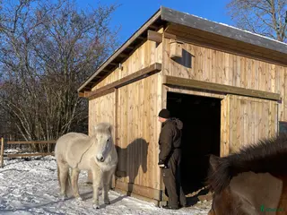 stallplats Lösdrift i Skurup - Annons 2