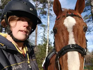 medryttarhäst finnes: Betalande medryttare sökes. - Annons 2