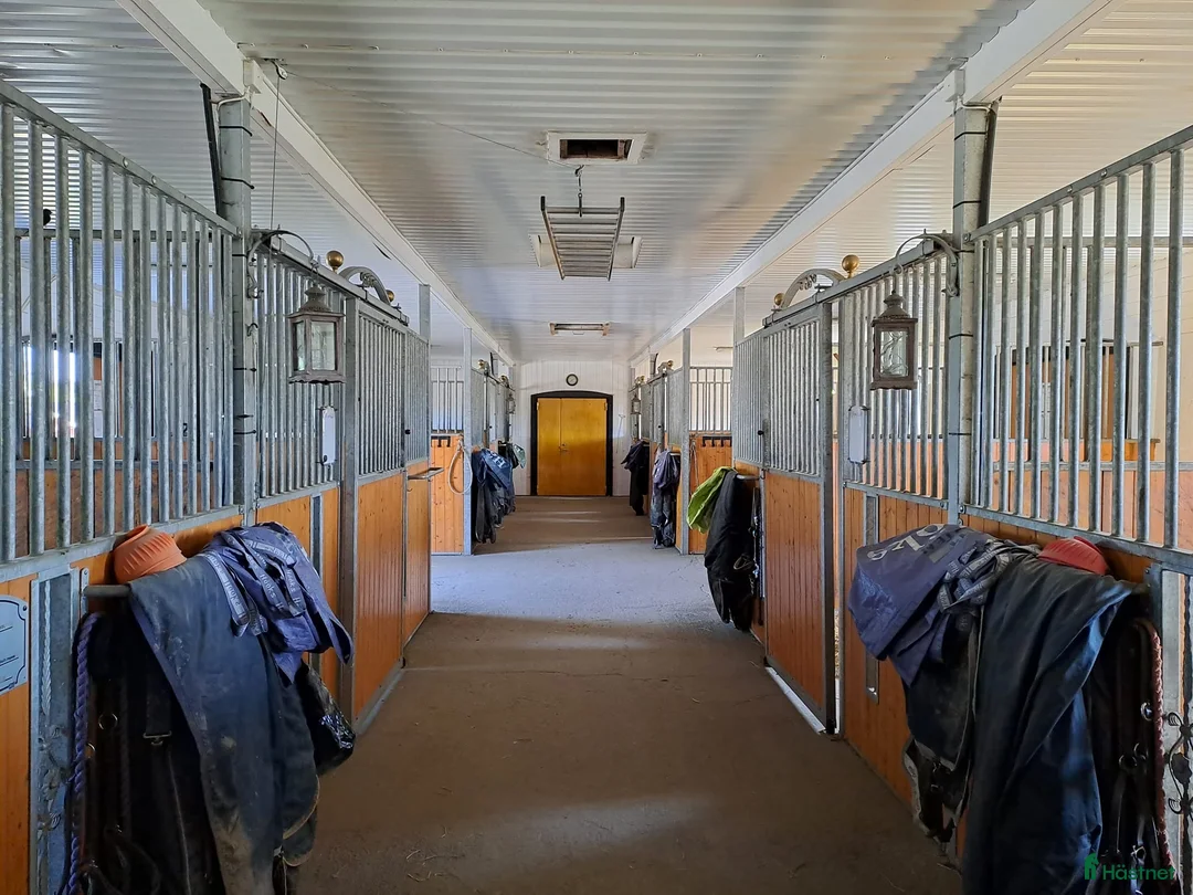  stallplats finnes: Lediga Stallplatser Önsta Stallet i Bro - Annons 7