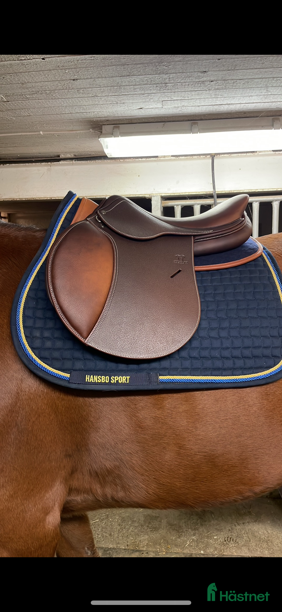 Sadlar hästutrustning till salu: Antares altair i Vintrosa - Annons 21