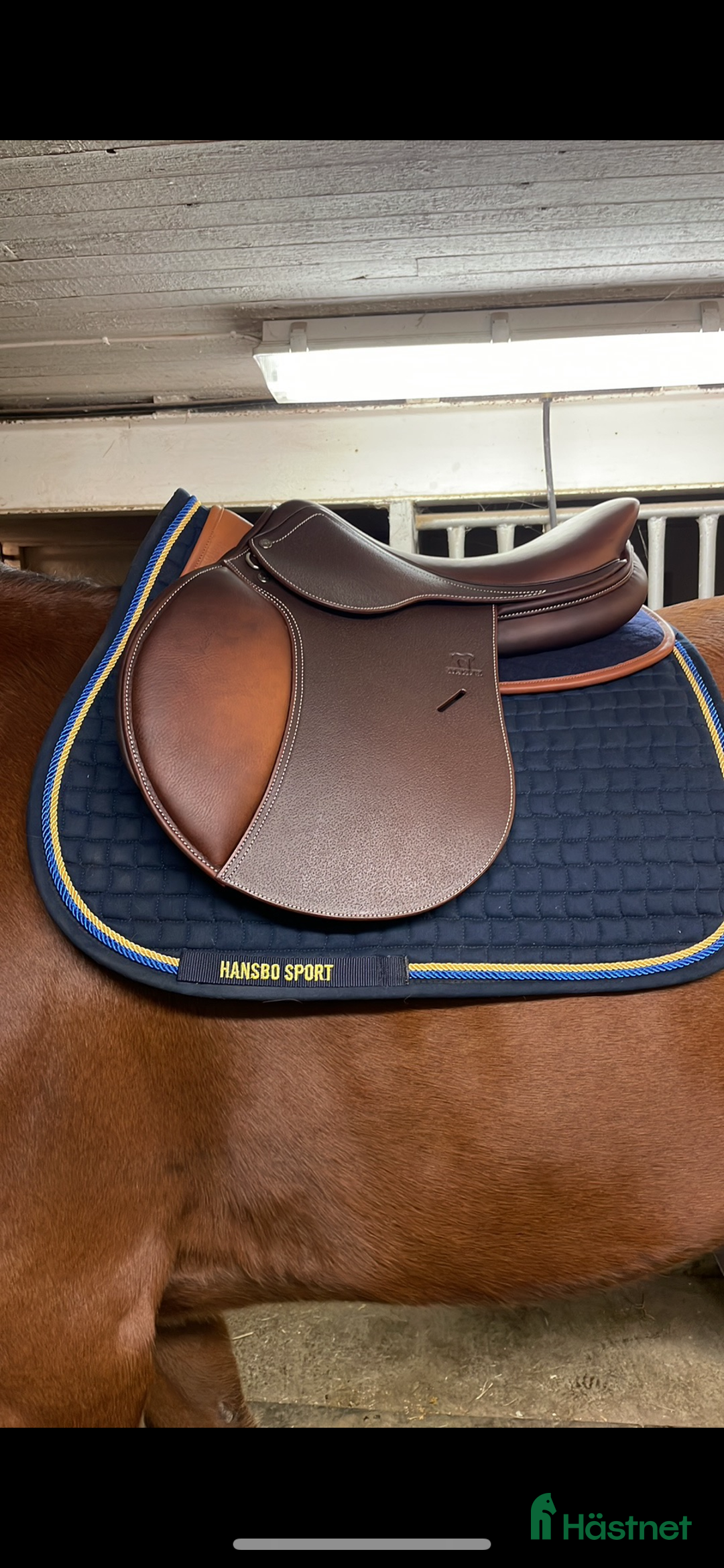 Sadlar hästutrustning till salu: Antares altair i Vintrosa - Annons 1