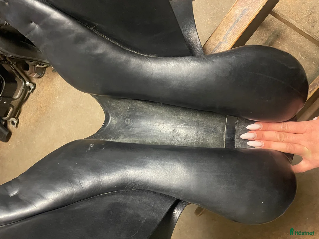 Sadlar hästutrustning till salu: Prestige golden star - Annons 4