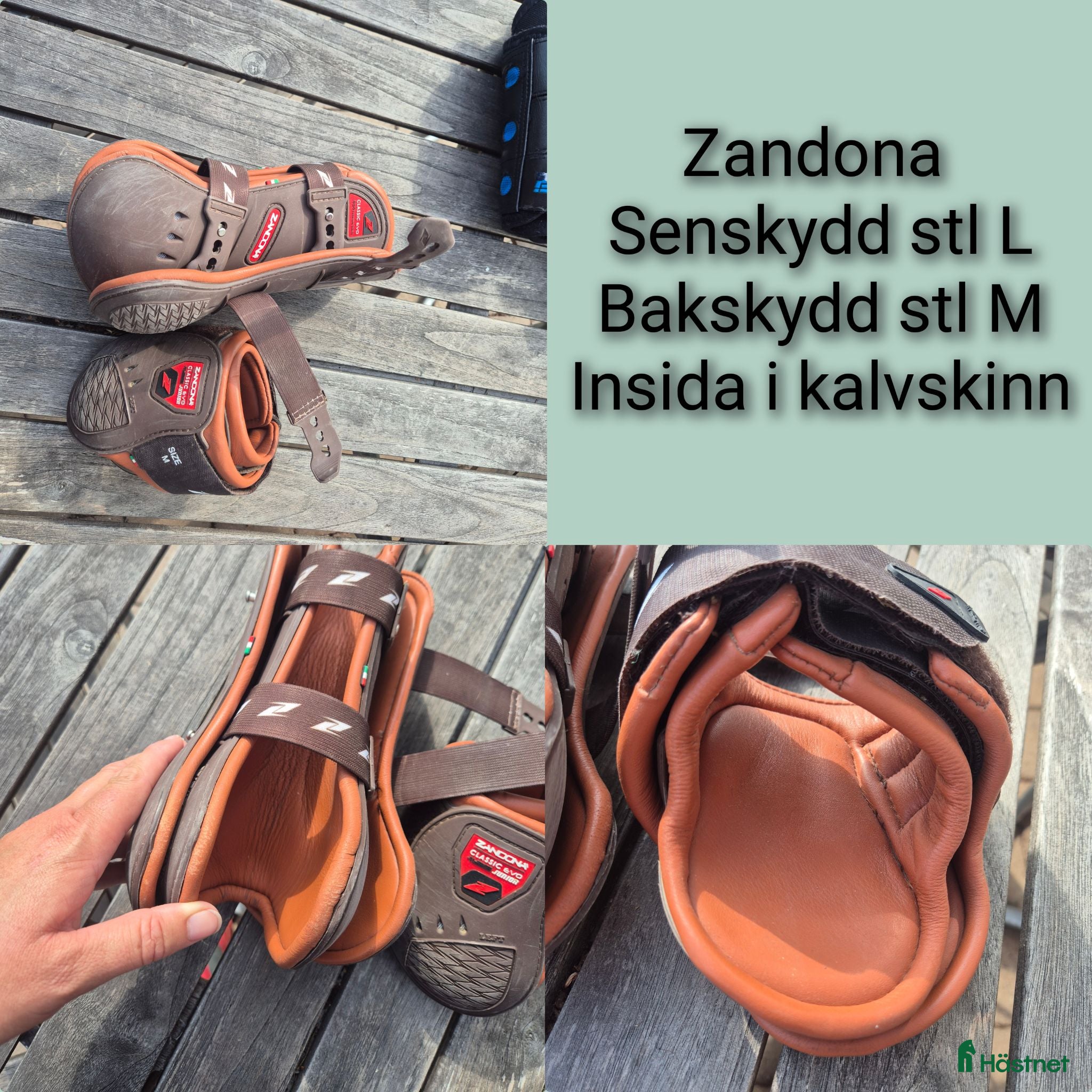 Benskydd hästutrustning till salu: Zandona  - Annons 1