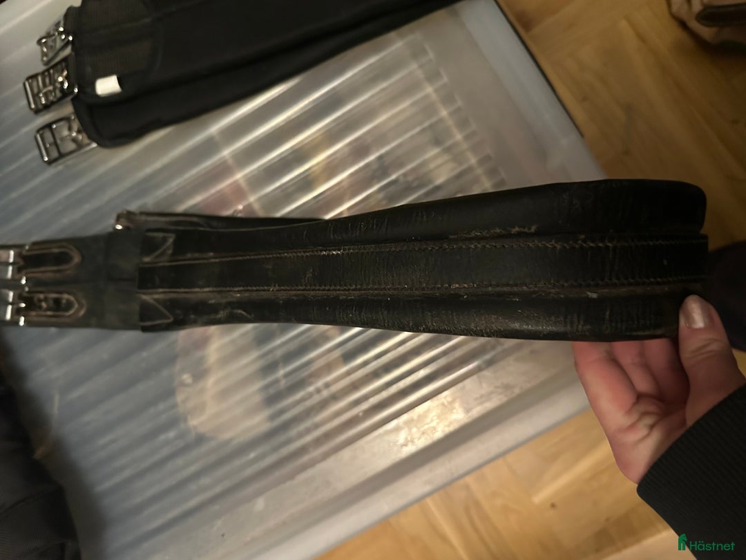 Sadeltillbehör hästutrustning till salu: Svart Lädergjord 110cm med resår i ena änden i Borlänge - Annons 2