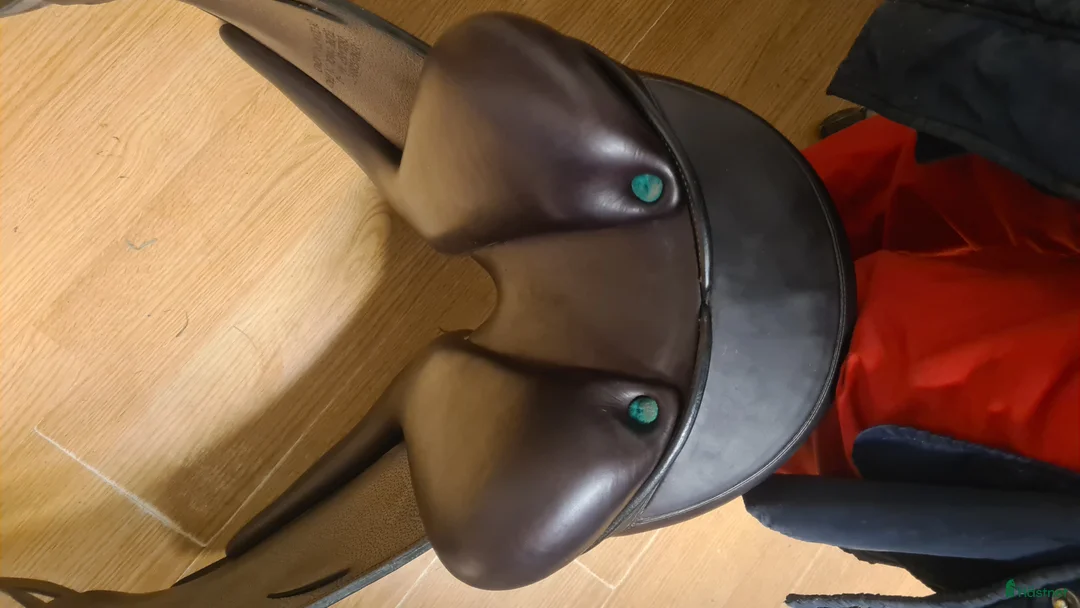 Sadlar hästutrustning till salu: Equipe Olympia i Hamneda - Annons 3